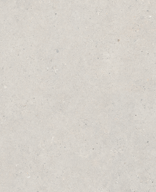 PAGE 24 A FOSSIL GREY TOP IMAGE