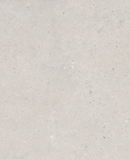 PAGE 24 B FOSSIL GREY MIDDLE IMAGE