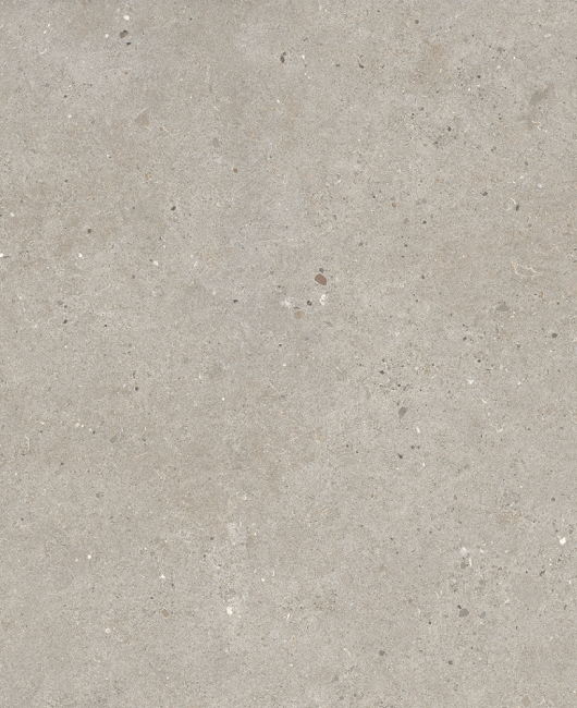 PAGE 24 C FOSSIL TAUPE BOTTOM IMAGE