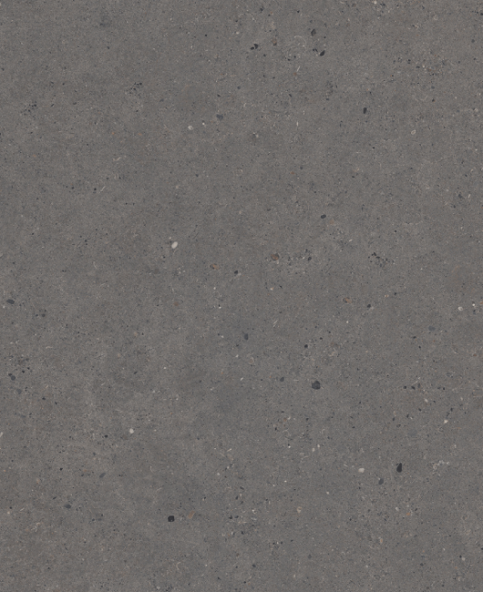 PAGE 25 A FOSSIL ANTHRACITE TOP IMAGE